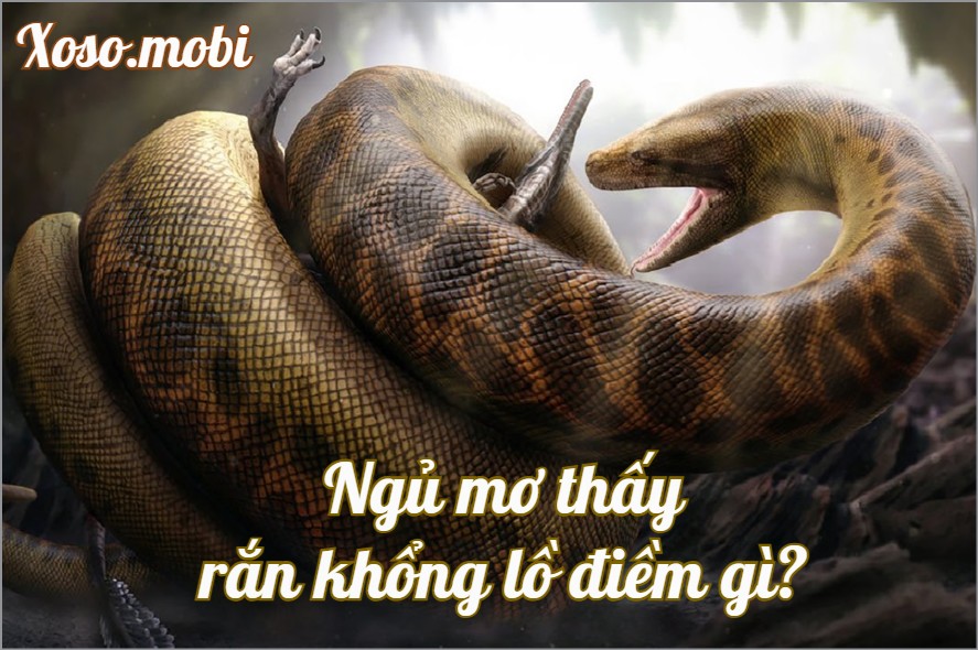 Giải mã giấc mơ thấy rắn khổng lồ là điềm gì? Giải mã giấc mơ thấy rắn khổng lồ là điềm gì?