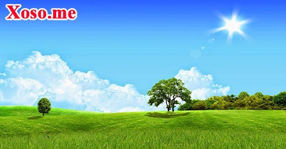 Mơ thấy trời xanh Mơ thấy trời xanh