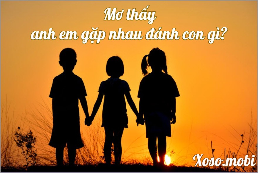 Giải mã giấc mơ thấy anh em gặp nhau điềm báo gì