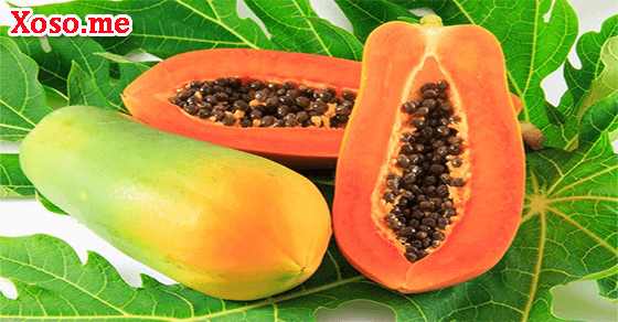 Mơ thấy quả đu đủ​