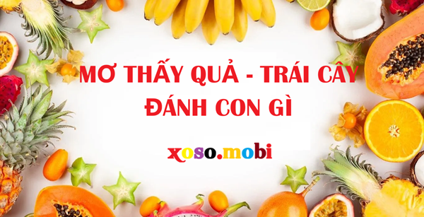 Giải mã mơ thấy trái cây đánh số mấy để gặp may mắn