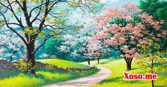 Mơ thấy phong cảnh mùa xuân là có sự đổi mới