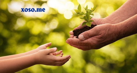 Mơ thấy gieo trồng có ý nghĩa như thế nào? Mơ thấy gieo trồng có ý nghĩa như thế nào?