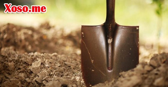 Mơ thấy cái xẻng là điềm báo gì? Mơ thấy cái xẻng là điềm báo gì?