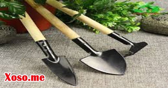 Giãi mã giấc mơ thấy cuốc xẻng đánh con gì?