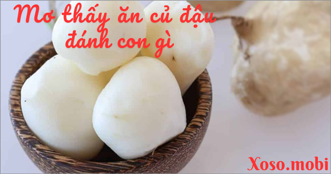 Khám phá giấc mơ ăn củ đậu mang ý nghĩa gì Khám phá giấc mơ ăn củ đậu mang ý nghĩa gì