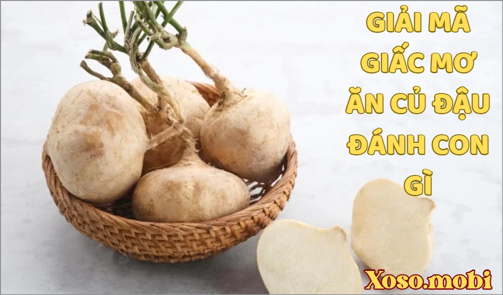 Giải mã giấc mơ thấy ăn củ đâu đánh con gì may mắn Giải mã giấc mơ thấy ăn củ đâu đánh con gì may mắn