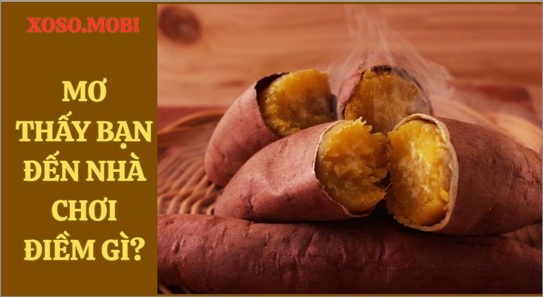 Ngủ mơ thấy ăn khoai đánh con gì trúng Ngủ mơ thấy ăn khoai đánh con gì trúng