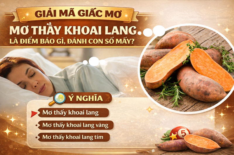 Khám phá bí ẩn giấc mơ thấy ăn khoai là điềm gì Khám phá bí ẩn giấc mơ thấy ăn khoai là điềm gì